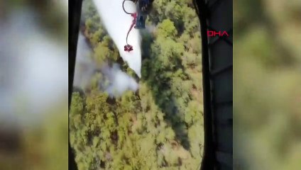 Incendie de forêt à Izmir Menderes