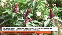 Un mariposario y un bromeliario en Puerto iguazú que permiten conocer y estar cerca de las especies misioneras