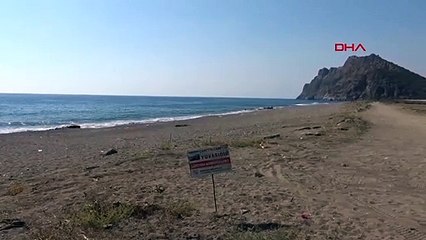 Des poursuites pénales ont été intentées contre ceux qui endommagent le nid de Caretta Caretta