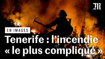 Tenerife en proie à l'incendie « le plus compliqué » des 40 dernières années