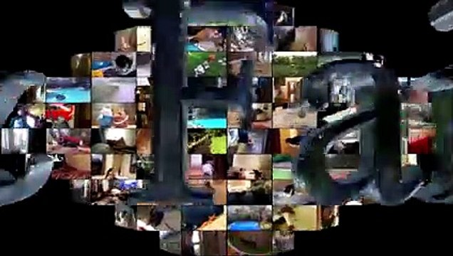 Animal Fails of the Week 1 April 2017 - Dog Fails - Cat Fails - Animal Fails Compilation 2017