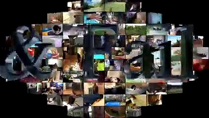 Animal Fails of the Week 2 November 2016 - Animal Fails Compilation 2016