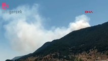Maraş’ta orman yangını: 10 hektar ormanlık alanı zarar gördü