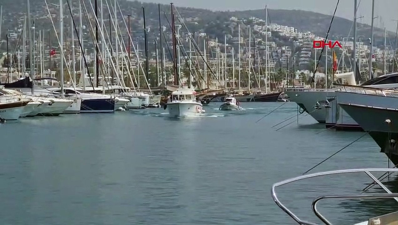 Mort d'un homme d'affaires qui avait piqué une abeille sur un bateau