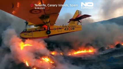 Скачать видео: Ferieninsel in Flammen: Waldbrände auf Teneriffa weiterhin außer Kontrolle