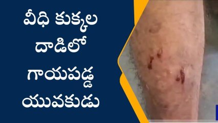 ఖమ్మం: వీధి కుక్కల దాడిలో వ్యక్తికి గాయాలు..!