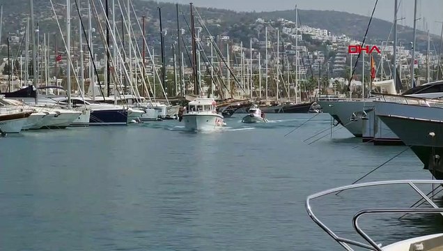 Teknede arı sokan iş insanı hayatını kaybetti