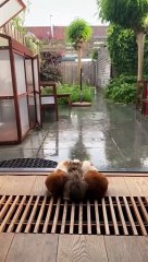 Relax and enjoy some nature