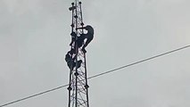 मोबाइल टॉवर पर युवक का हाईवोल्टेज ड्रामा, 150 फीट ऊपर चढ़कर कर रहा नए मोबाइल की डिमांड, VIDEO