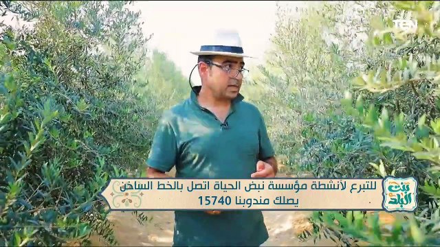 لقاء مع الداعية محمد رضا من علماء الأزهر الشريف | بنت البلد