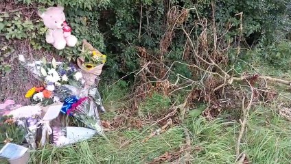 Flowers and toys left for ‘kind’ and ‘caring’ girl, 6, who died after being hit by van in Barton