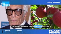 Guillaume Canet : Refus de Gérard Darmon et l'influence d'Alain Chabat