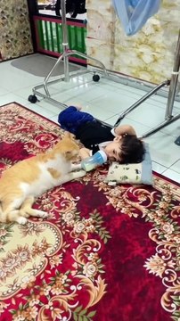 Funny moments! THE END _funnypictures _FunnyPinns -SofiaFunnyPin _FunnyOrDie _funnyordie -funnyvideos _FunnyQuotes #baby #babyapp #babyboy #funnykids #funnybaby #cutebaby #cutebaby #babyvideos #funnybaby #funnybabyvideos #babygirl #babycostume #adorableba