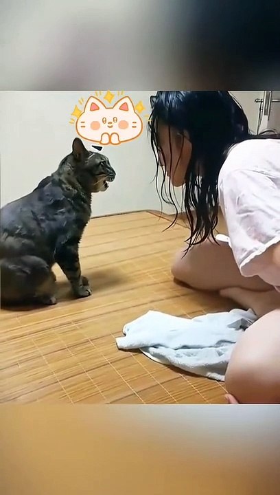 Funny moments! THE END _funnypictures _FunnyPinns -SofiaFunnyPin _FunnyOrDie _funnyordie -funnyvideos _FunnyQuotes#hewanlucu#binatanglucu#funnyanimals #funnyvideos #duniabinatang#kucinglucu#cat#catlover#sobatsemesta
