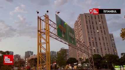 Göç yolundaki leyleklerin İstanbul molası