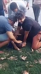 Ünlü oyuncu Şükrü Özyıldız, kapkaççı yakaladı