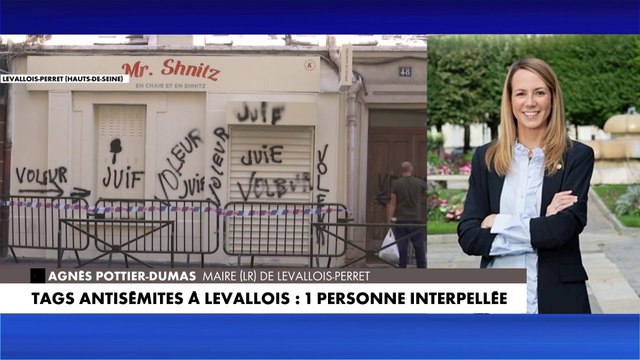 Agnès Pottier-Dumas : «Il faut faire très attention et à être précautionneux sur les conclusions qu'on peut en tirer sur le climat dans nos villes, en France»