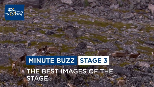 Minute Buzz - Stage 3 - Arctic Race of Norway 2023