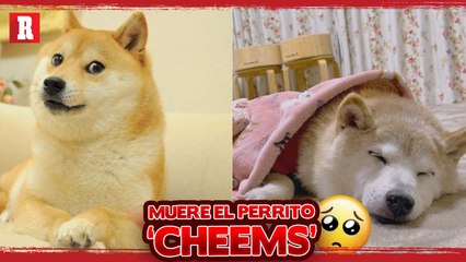 FALLECIÓ A CAUSA DE CÁNCER | CONTRA