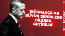 Erdoğan'ın Sığınmacı Politikasına Çarpıcı Analiz! 'Bilinçli Olarak Yapıldı'