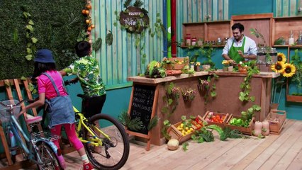 2. "Semillero carnívoro" | LAS SEMILLAS | Villa Tiempo