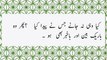 Surah Al-Mulk full | سورة الملك | Surah Mulk | Surah 67 Ayaat 12 To 17 | Quran With Urdu Translation #surahalmulk #surahmulk #plyghalatv