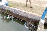 Sampah Mengambang di Kolam Ikan dan Peringatan HUT Kemedekaan RI