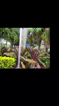 The Hammocks, FL 2023