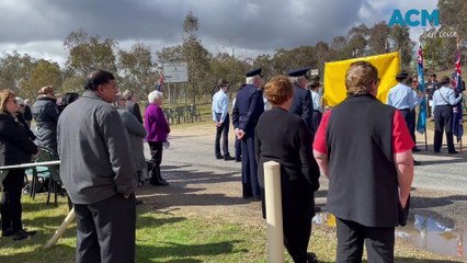 Vietnam Veterans Day