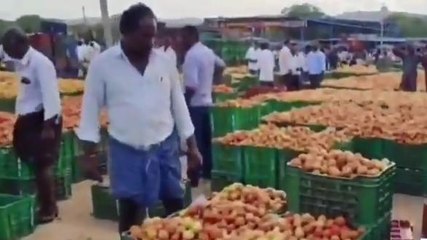 నెల్లూరు జిల్లా: గుడ్ న్యూస్... దిగొచ్చిన ధరలు