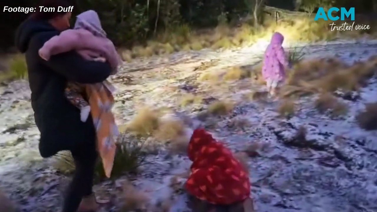 WATCH the Duff family's dawn adventure to Barrington Tops