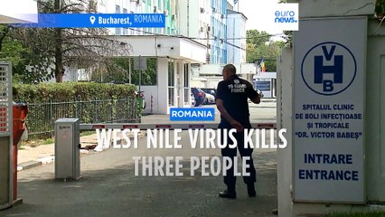 West Nile Virus kills three people in one week in Romania