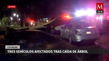 Milenio Noticias, 19 de agosto de 2023