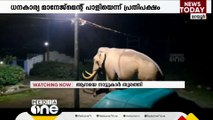 മറയൂരിലെ ജനവാസ മേഖലയിൽ നിന്ന് മാറാതെ പടയപ്പയെന്ന കാട്ടുകൊമ്പൻ