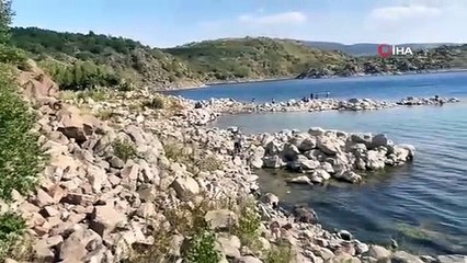 Sıcaktan bunalan yavru boz ayılar Nemrut Krater Gölü'nde serinledi