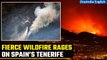 Spain: Wildfire burns out of control on Spain's Tenerife, thousands evacuated | Oneindia News