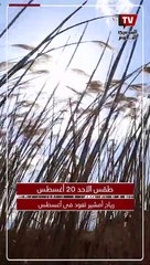 رياح أمشير تعود فى أغسطس..  طقس اليوم الأحد 20 أغسطس 2023