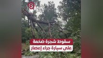 سقوط شجرة ضخمة على سيارة جراء إعصار