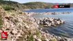 Bitlis'te sıcaktan bunalan boz ayılar Nemrut Krater Gölü’ne girdi
