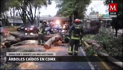 Video herunterladen: Impacto de las lluvias en la CdMx; Inundaciones y caída de árboles