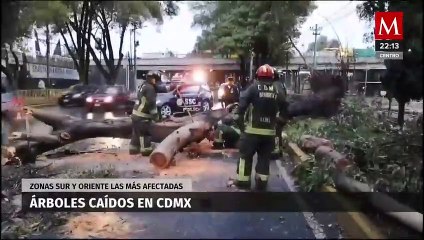 Impacto de las lluvias en la CdMx; Inundaciones y caída de árboles