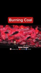 Burning Coal BBQl Tikka party l Imran Zaman