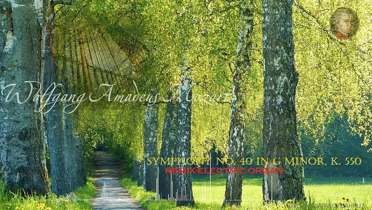 Wolfgang Amadeus Mozart-Symphony No. 40 in G minor, K. 550-REMIX-ELECTRIC ORGAN