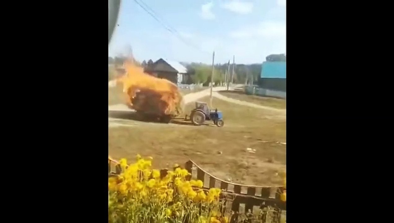 Pas de foin pour les vaches cette année... Tout est parti en fumée