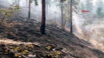 Kanada'da orman yangınları nedeniyle 35 bin kişiye tahliye