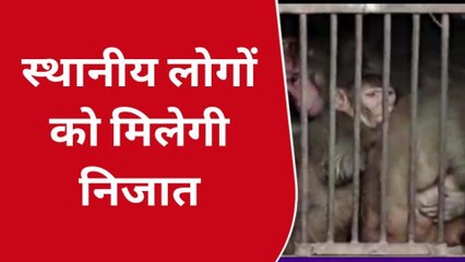 मथुरा: अभियान के तहत पकड़े गए सैकड़ों बंदर, जिलाधिकारी ने कही ये बात