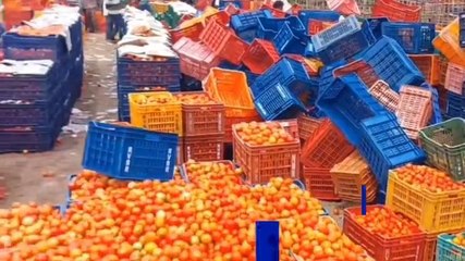 అన్నమయ్య జిల్లా: టమోటా ధర ఢమాల్ !... కిలో ఎంతంటే ?