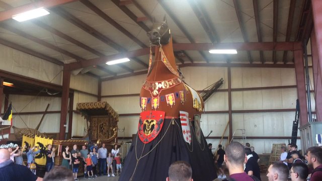 Le cheval Bayard, à Ath, se dégourdit les pattes !