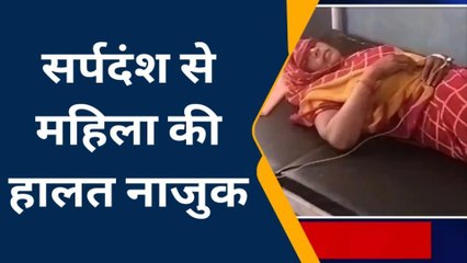 बांदा: घर की लिपाई-पोताई करते समय महिला को सर्प ने डसा, हालत नाजुक