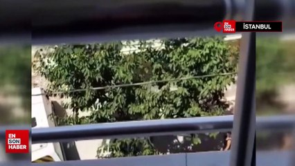 Esenyurt'ta sokakta beslediği köpekler toplanınca ortalığı birbirine kattı